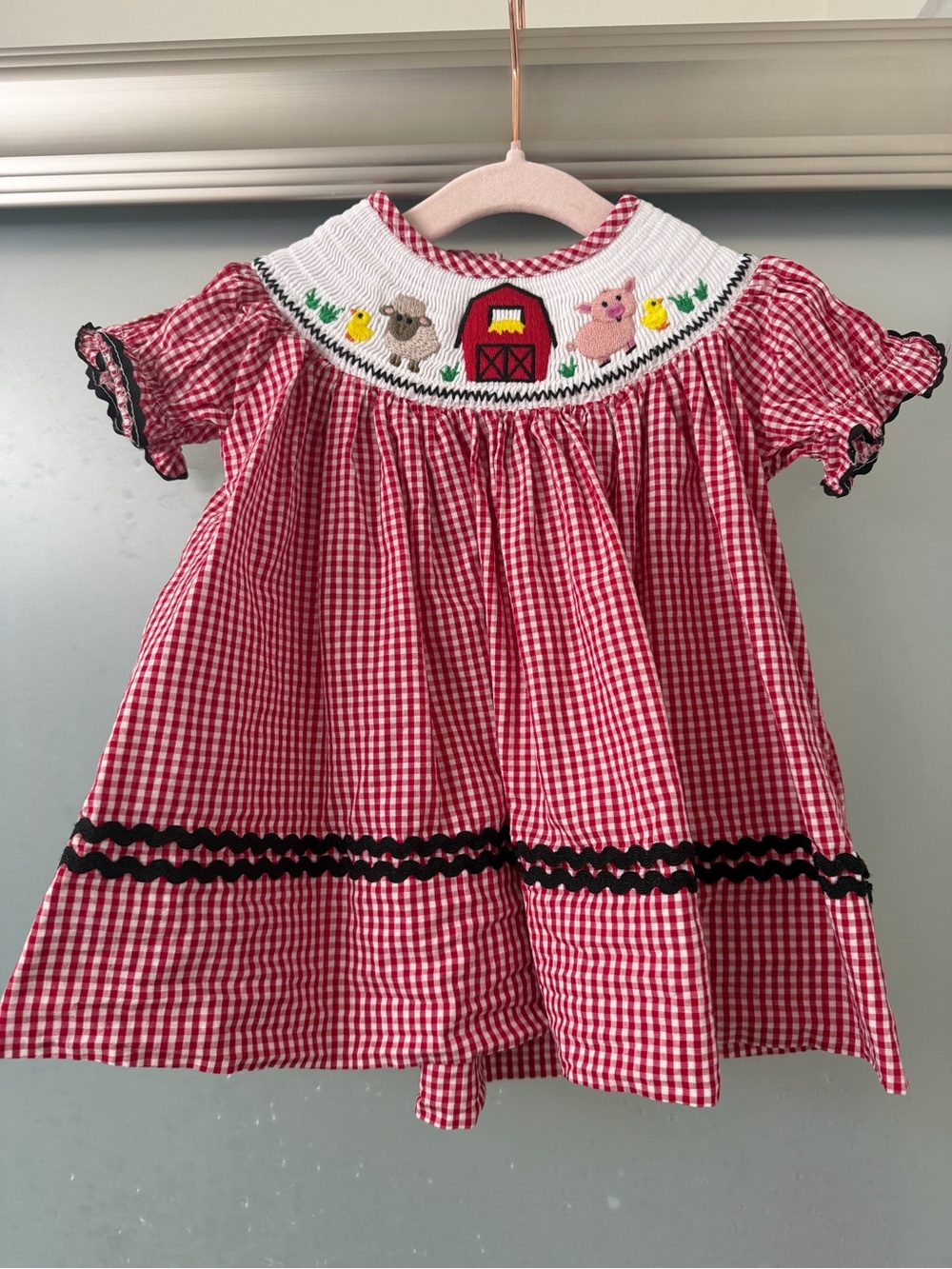 Lil Cactus Red Gingham Smocked Farm Animal Girls Dress 3-6M